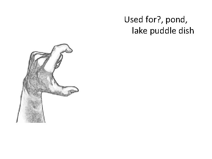 Used for? , pond, lake puddle dish 