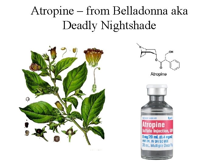 Atropine – from Belladonna aka Deadly Nightshade 