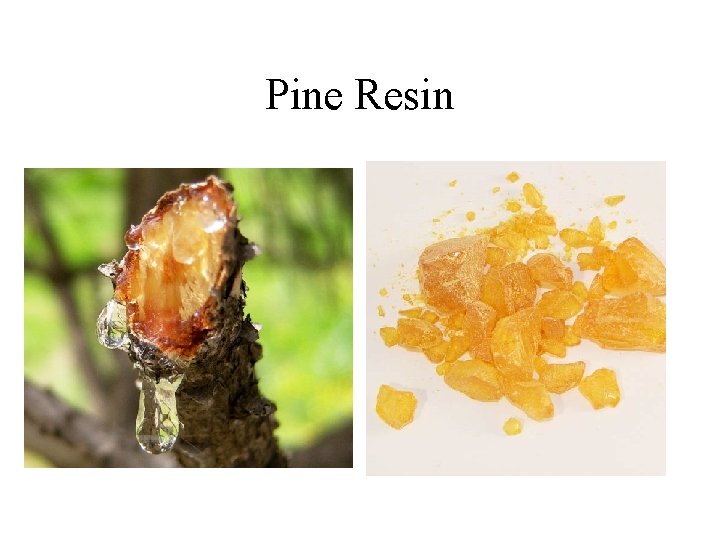 Pine Resin 