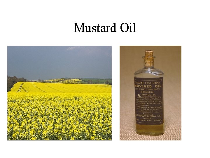 Mustard Oil 