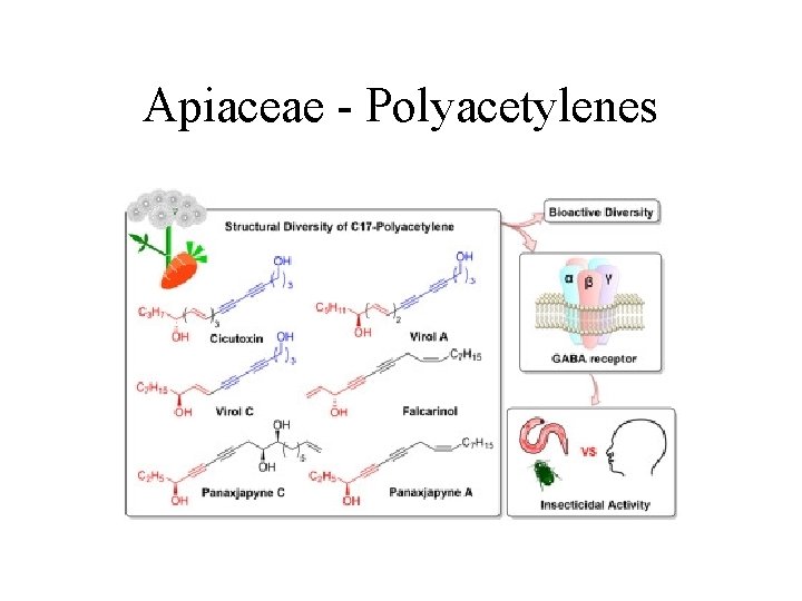 Apiaceae - Polyacetylenes 