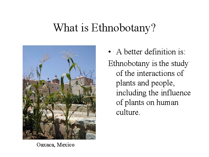 What is Ethnobotany? • A better definition is: Ethnobotany is the study of the