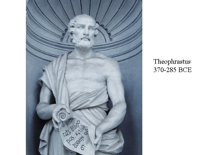 Theophrastus 370 -285 BCE 