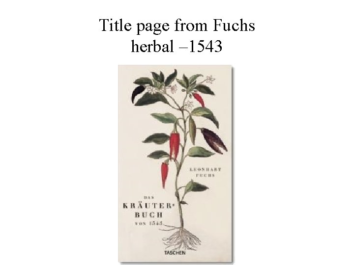 Title page from Fuchs herbal – 1543 