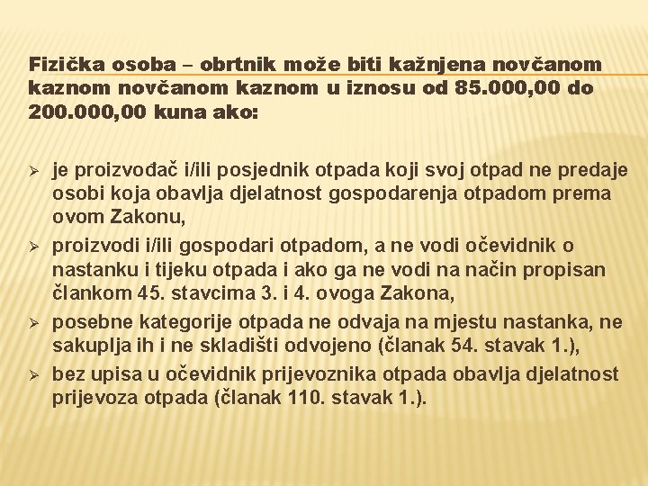 Fizička osoba – obrtnik može biti kažnjena novčanom kaznom u iznosu od 85. 000,