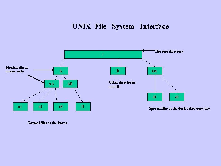 UNIX File System Interface The root directory / Directory files at interior node A