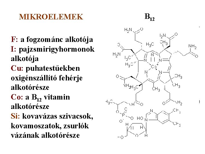 MIKROELEMEK F: a fogzománc alkotója I: pajzsmirigyhormonok alkotója Cu: puhatestűekben oxigénszállító fehérje alkotórésze Co: