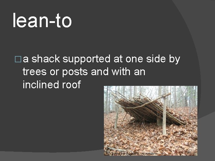 lean-to �a shack supported at one side by trees or posts and with an