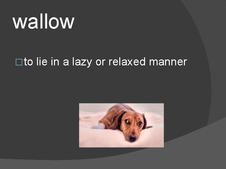 wallow � to lie in a lazy or relaxed manner 