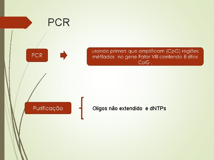 PCR Oligos não extendido e d. NTPs 