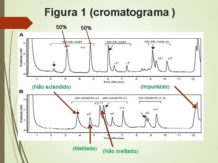 Figura 1 (cromatograma ) 50% (Impurezas) (Não extendido) (Metilado) (Não metilado) 