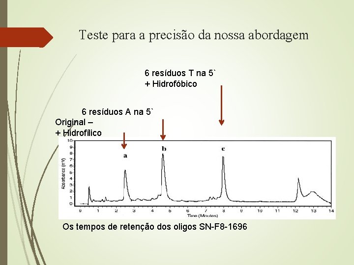 Teste para a precisão da nossa abordagem 6 resíduos T na 5` + Hidrofóbico