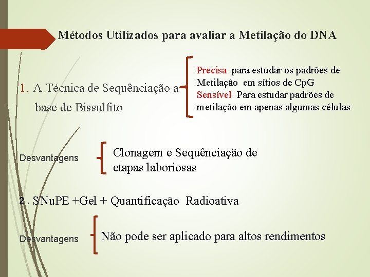 Métodos Utilizados para avaliar a Metilação do DNA 1. A Técnica de Sequênciação a