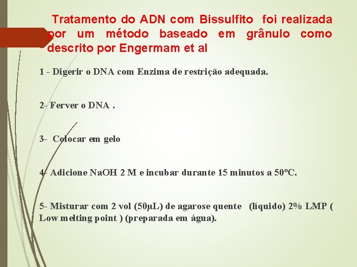 Tratamento do ADN com Bissulfito foi realizada por um método baseado em grânulo como