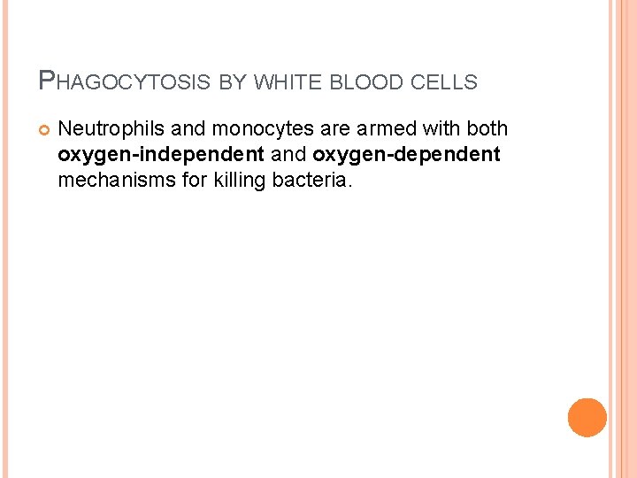 PHAGOCYTOSIS BY WHITE BLOOD CELLS Neutrophils and monocytes are armed with both oxygen-independent and