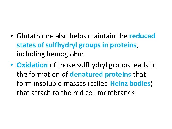  • Glutathione also helps maintain the reduced states of sulfhydryl groups in proteins,