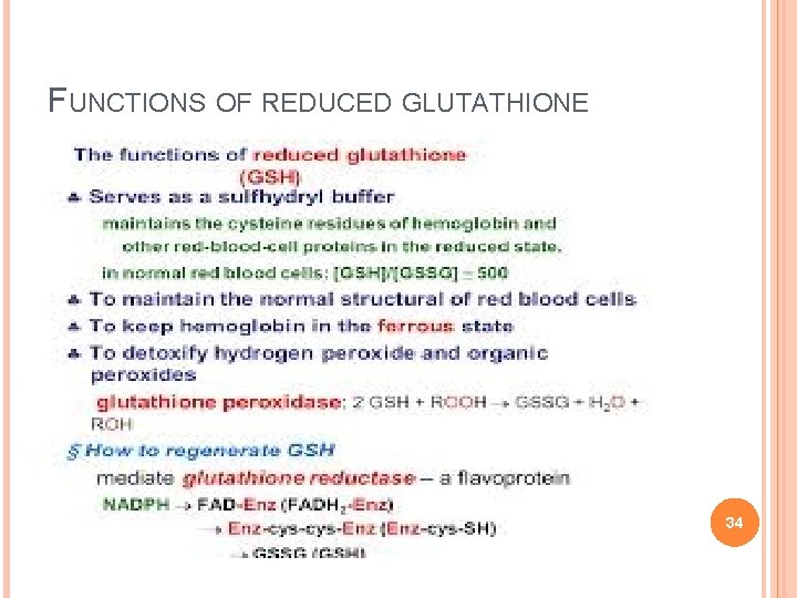 FUNCTIONS OF REDUCED GLUTATHIONE 34 