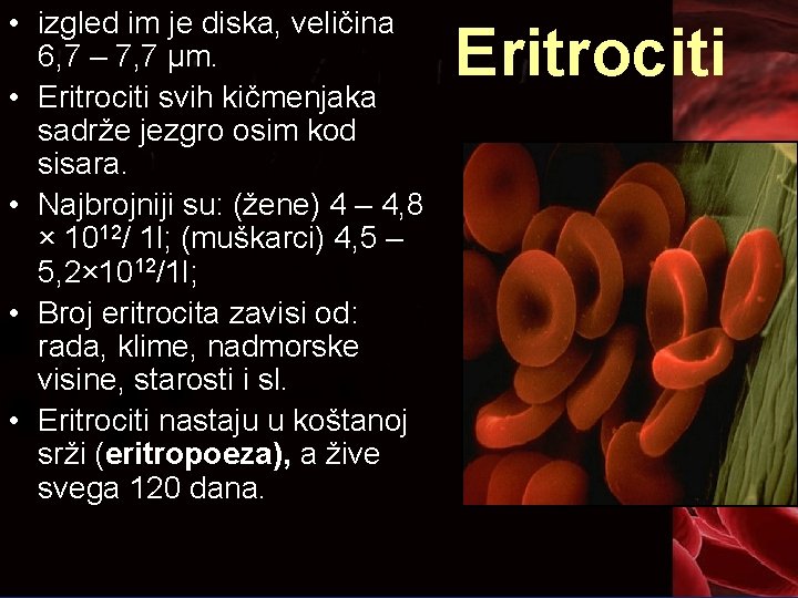  • izgled im je diska, veličina 6, 7 – 7, 7 µm. •