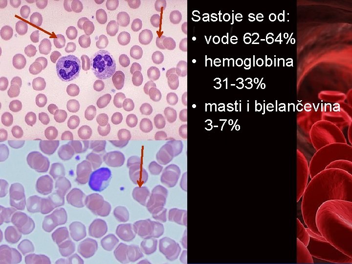 Sastoje se od: • vode 62 -64% • hemoglobina 31 -33% • masti i