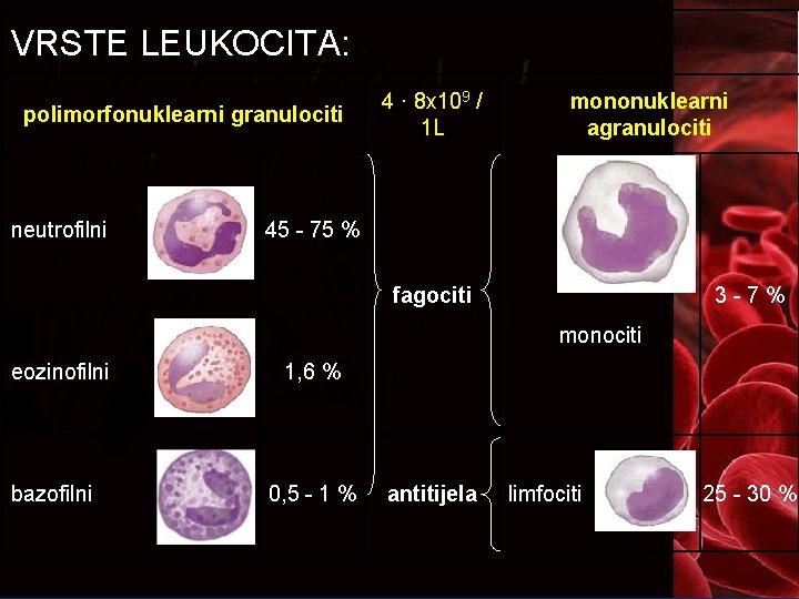 VRSTE LEUKOCITA: polimorfonuklearni granulociti neutrofilni 4 · 8 x 109 / 1 L mononuklearni