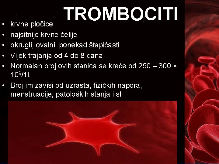  • • • TROMBOCITI krvne pločice najsitnije krvne ćelije okrugli, ovalni, ponekad štapićasti