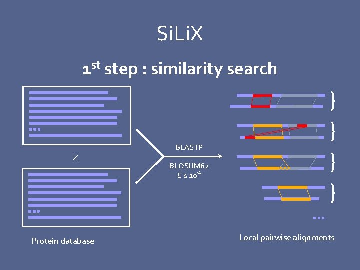 Si. Li. X 1 st step : similarity search Protein database BLASTP BLOSUM 62