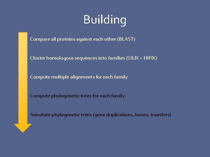 Building Compare all proteins against each other (BLAST) Cluster homologous sequences into families (SILIX