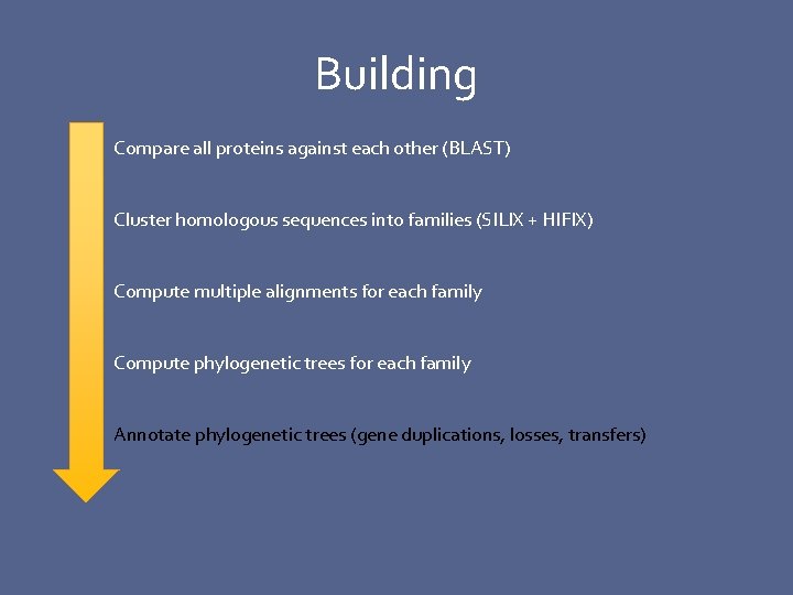 Building Compare all proteins against each other (BLAST) Cluster homologous sequences into families (SILIX