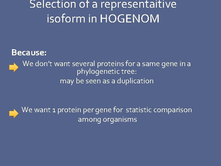 Selection of a representaitive isoform in HOGENOM Because: We don’t want several proteins for