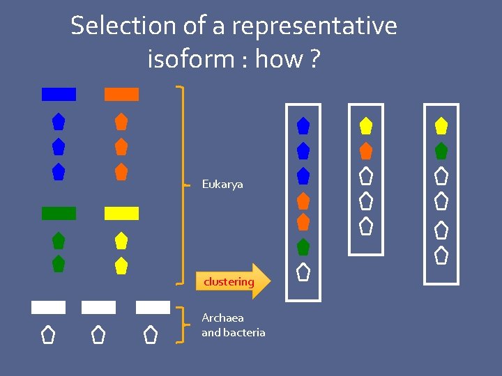 Selection of a representative isoform : how ? Eukarya clustering Archaea and bacteria 