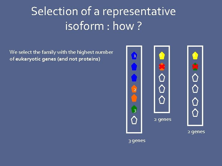 Selection of a representative isoform : how ? We select the family with the