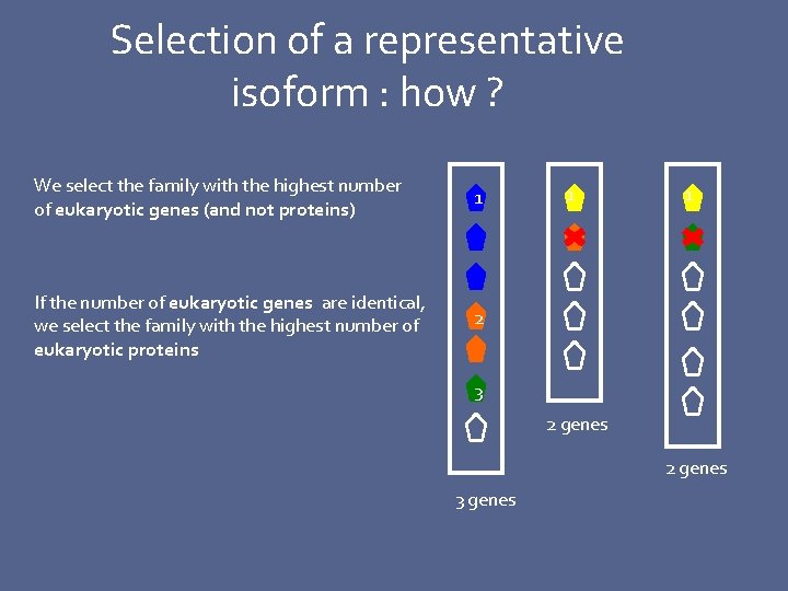 Selection of a representative isoform : how ? We select the family with the
