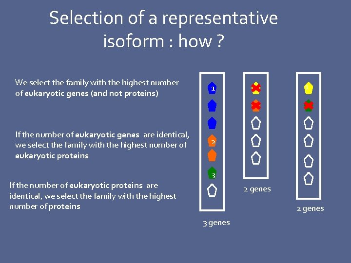 Selection of a representative isoform : how ? We select the family with the