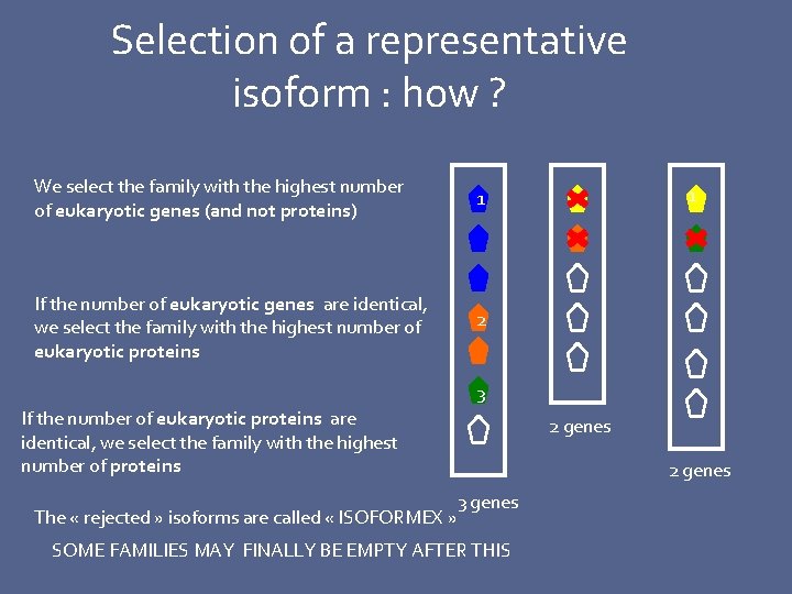 Selection of a representative isoform : how ? We select the family with the