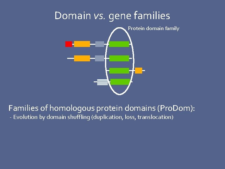 Domain vs. gene families Protein domain family Families of homologous protein domains (Pro. Dom):