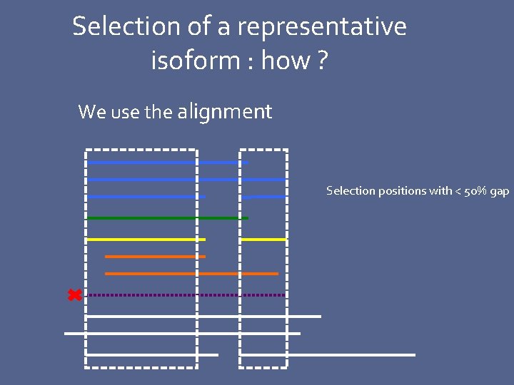 Selection of a representative isoform : how ? We use the alignment Selection positions