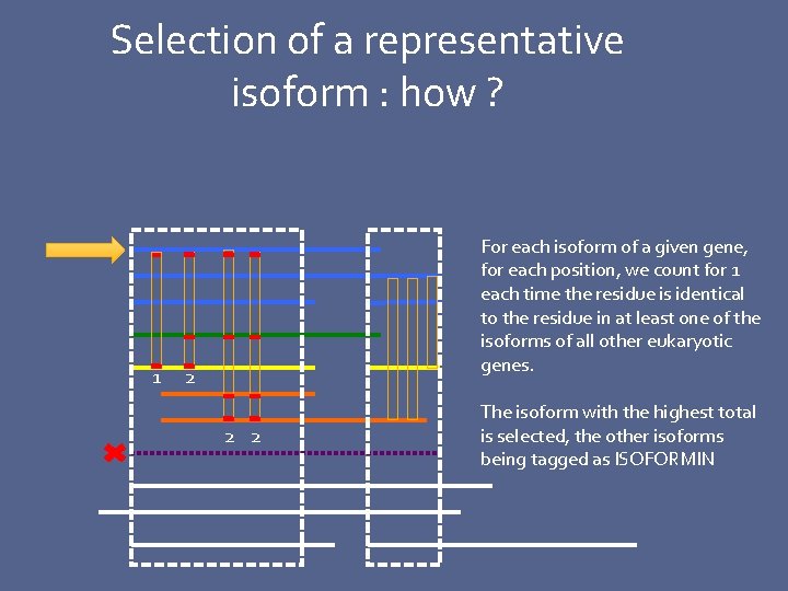 Selection of a representative isoform : how ? 1 For each isoform of a