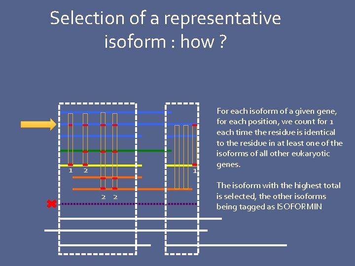 Selection of a representative isoform : how ? 1 2 2 For each isoform