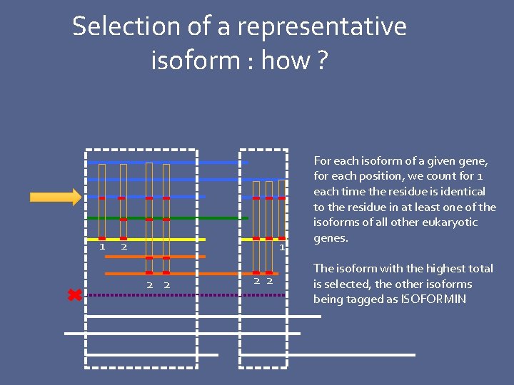 Selection of a representative isoform : how ? 1 2 2 2 2 For