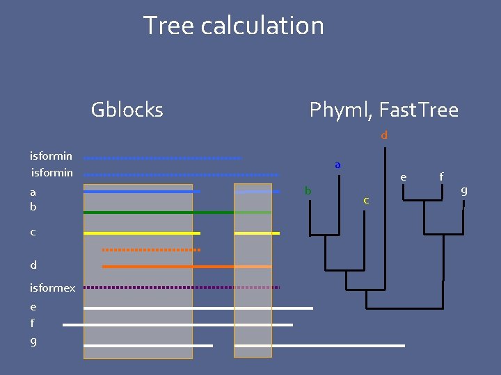 Tree calculation Gblocks Phyml, Fast. Tree d isformin a b c d isformex e