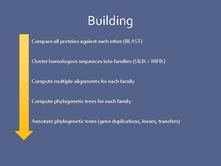 Building Compare all proteins against each other (BLAST) Cluster homologous sequences into families (SILIX