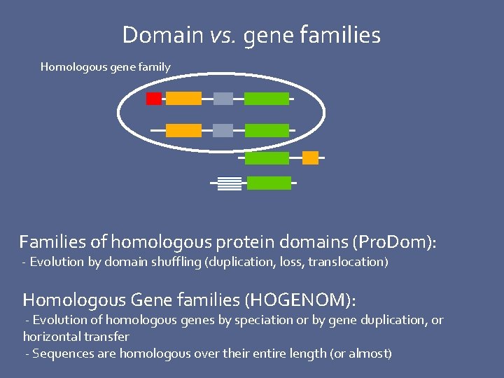 Domain vs. gene families Homologous gene family Families of homologous protein domains (Pro. Dom):