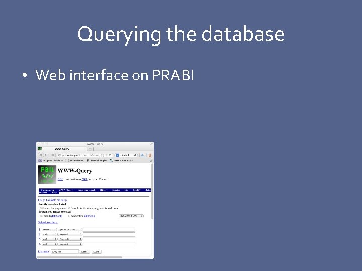 Querying the database • Web interface on PRABI 
