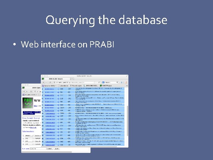 Querying the database • Web interface on PRABI 