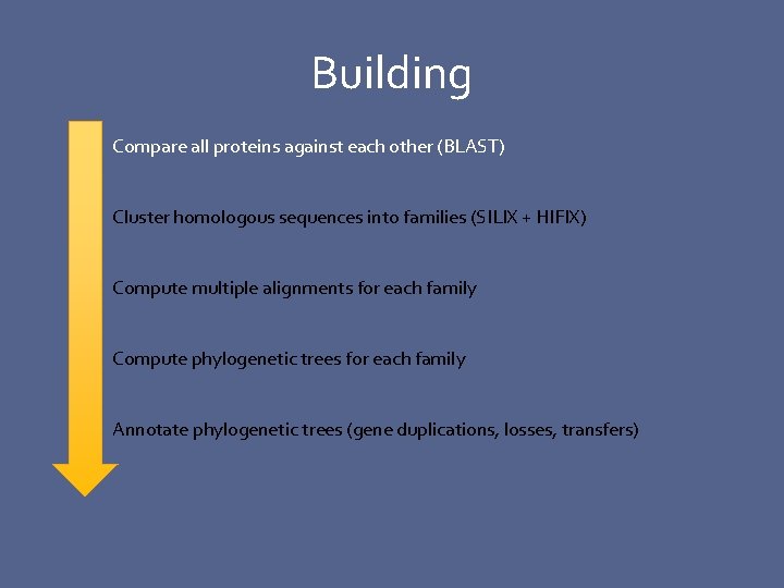 Building Compare all proteins against each other (BLAST) Cluster homologous sequences into families (SILIX