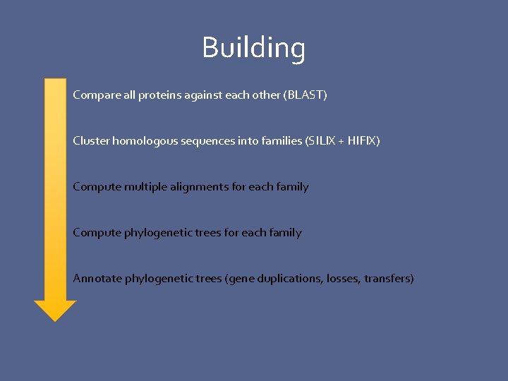 Building Compare all proteins against each other (BLAST) Cluster homologous sequences into families (SILIX