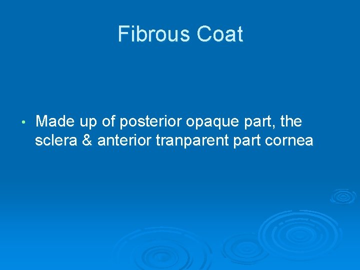 Fibrous Coat • Made up of posterior opaque part, the sclera & anterior tranparent