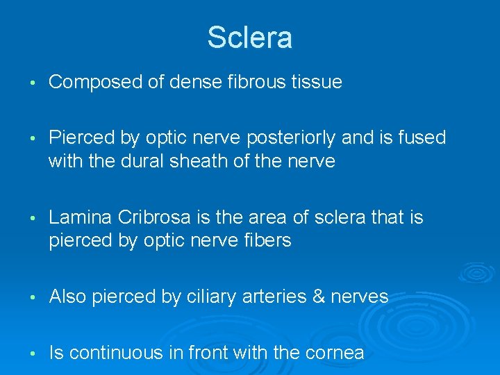 Sclera • Composed of dense fibrous tissue • Pierced by optic nerve posteriorly and