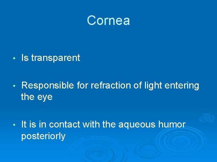 Cornea • Is transparent • Responsible for refraction of light entering the eye •