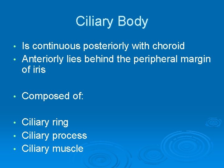 Ciliary Body Is continuous posteriorly with choroid • Anteriorly lies behind the peripheral margin